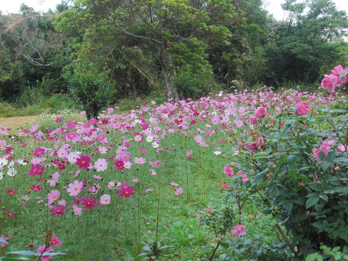 Matayoshi Coffee Farm Villa Higashi Exteriör bild