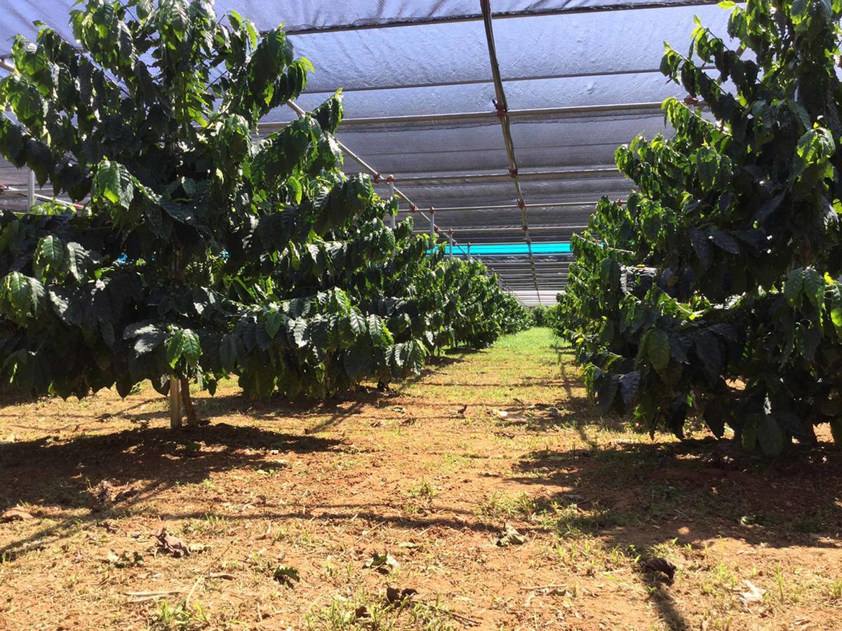 Matayoshi Coffee Farm Villa Higashi Exteriör bild