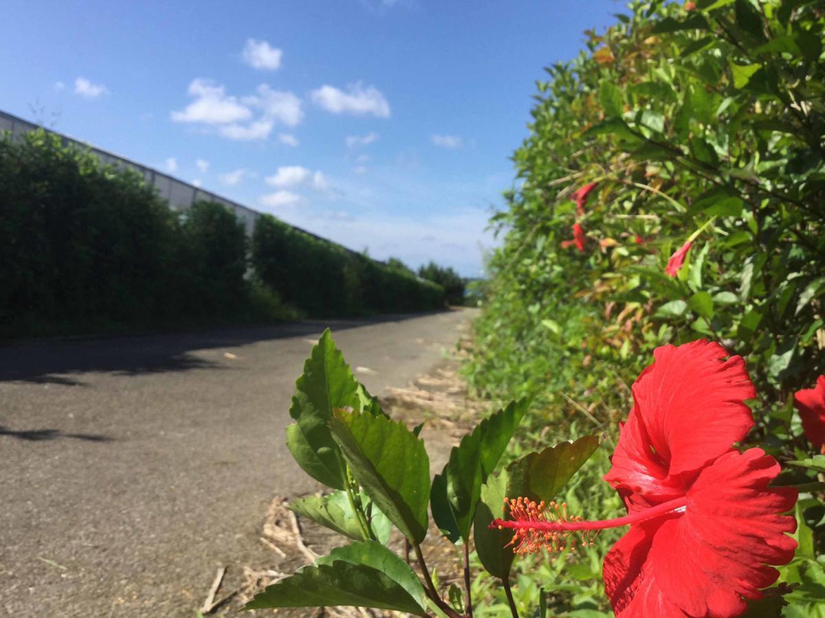 Matayoshi Coffee Farm Villa Higashi Exteriör bild